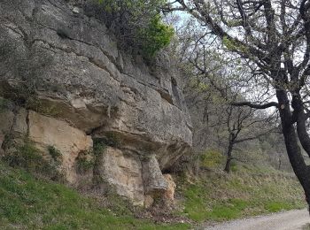 Excursión Senderismo Les Plans - Les Plans - Plateau du Grézac - Photo