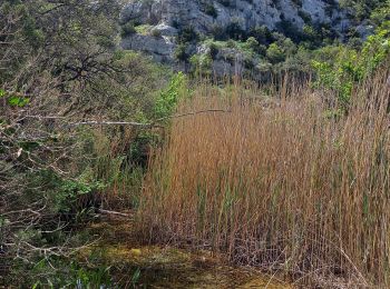 Excursión Senderismo Poulx - Poulx la Baume par balcon et ruisseau - Photo