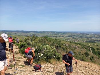 Tour Wandern Prissé - prisse - Photo