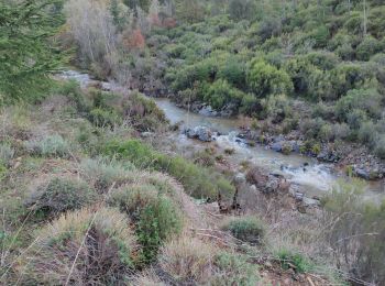 Tocht Stappen Tanneron - z chemin charretier 30-10-18 - Photo