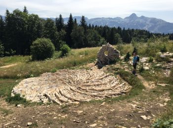 Randonnée Marche Saint-Martin-en-Vercors - La Sambue et le belvedere de Chateau Julien - Photo