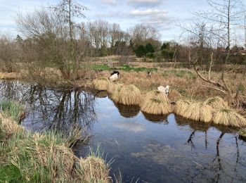 Randonnée Marche Bray-sur-Somme - Bray sur Somme - Photo