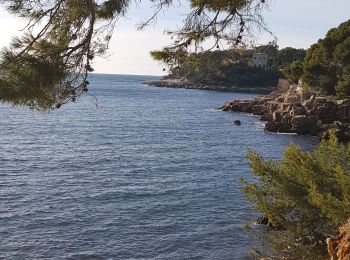 Tocht Stappen Bandol - baie des nations - Photo