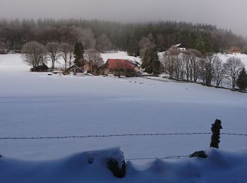 Trail Walking Breitenbach - col de la charbonnière - Photo