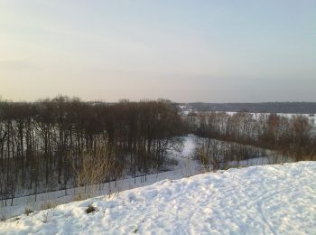 Randonnée A pied Schwebheim - Rundwanderweg durch die Gemarkung Schwebheim - Photo