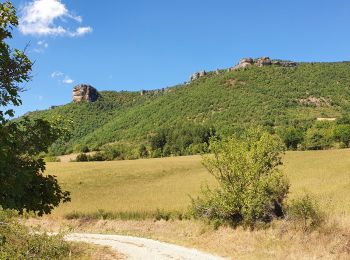 Tour Wandern Nant - Roc des Nantais - Photo