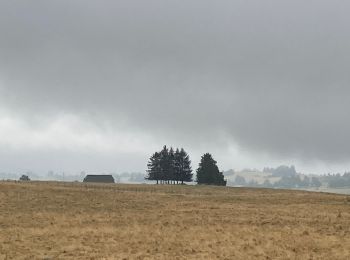 Tocht Stappen Pailherols - Pailherols chapelle du Cantal  - Photo