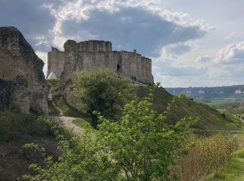 Tour Wandern Les Andelys - Les falaises de craies des Andelys  - Photo