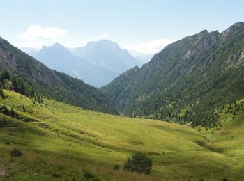 Tocht Te voet San Pietro di Cadore - IT-169 - Photo