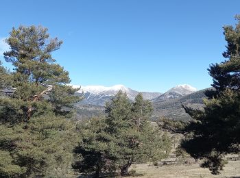 Tour Wandern La Mure-Argens - Montagne de Maurel - Photo