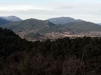 Tocht Stappen Rougiers - piegu  et St Jean  rougiers - Photo