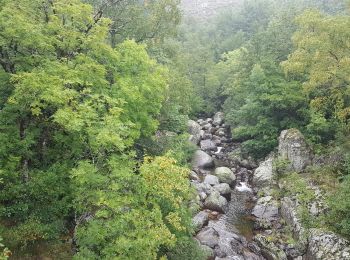 Trail Walking Pont de Montvert - Sud Mont Lozère - Le Pont de Montvert - Gasbiel - Photo