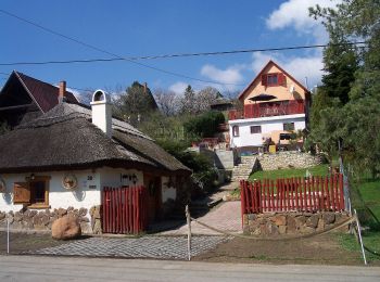 Tour Zu Fuß Pákozd - P▲ (Sukoró, Z - Barlang-kút) - Photo