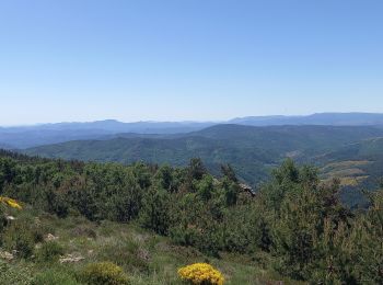 Tour Wandern Pont de Montvert - Sud Mont Lozère - Signal du Ventalon - Photo