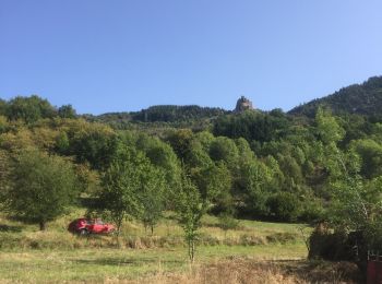 Excursión Senderismo Saint-Martin-de-Valamas - St Martin de Valamas Château de Rochebonne  - Photo