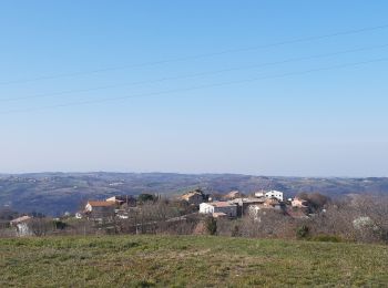 Trail Walking Tournon-sur-Rhône - Mauves  - Photo