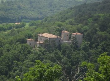 Excursión A pie Cormòns - Iter Aquileiense - variante per l'Abbazia di Rosazzo - Photo