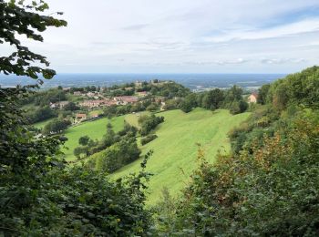 Tour Wandern Cuiseaux - Cuiseaux Chevreaux par la tour Hertzienne - Photo