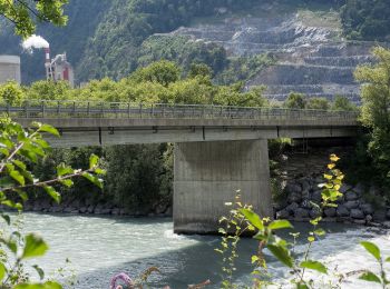Tour Zu Fuß Trimmis - Untervaz Bahnhof - Haldenstein Station - Photo