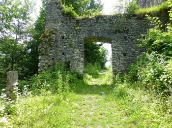 Tocht Te voet Hermagor-Pressegger See - Khünburg - Ruine Khünburg - Obervellacher Stand - Photo