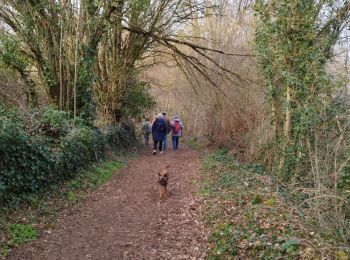 Trail Walking Saint-Ciers-sur-Bonnieure - Le circuit des moulins de st ciers de Bonnieure - Photo