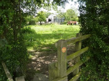 Excursión A pie North East Derbyshire - Pilsley Walk - Photo