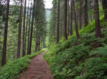 Excursión A pie Zawoja - Ścieżka edukacyjna - 