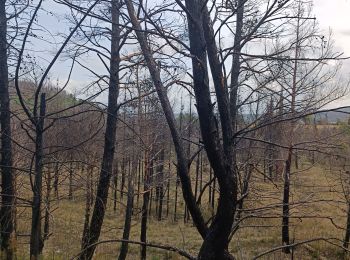 Trail Walking Moux - Sur les pas de Roland - Signal d'Alaric - La Caune  - Photo