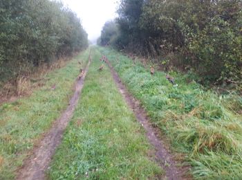 Tour Wandern La Celle-les-Bordes - hauts de besnieres - Photo