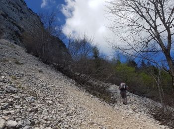 Excursión Senderismo Saint-Nizier-du-Moucherotte - Moucherotte 30 mai 2019 - Photo