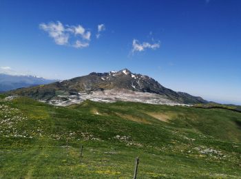 Trail Walking Prades - Pic Fourcat Prades  - Photo