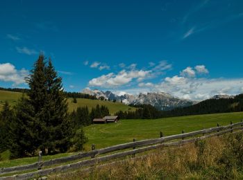 Trail On foot Santa Cristina Gherdëina - St. Christina in Gröden - Santa Cristina Valgardena - IT-30 - Photo