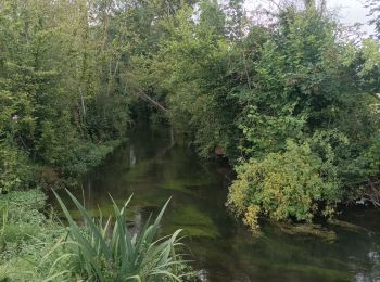 Tour Wandern Estissac - Randonnée Bucey 01 août, 2023 - Photo