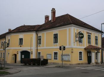 Trail On foot Gemeinde Pfaffstätten - Les'Hanl Erlebnispfad - Photo