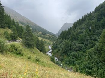 Tocht Stappen Abriès-Ristolas - Belvédère Viso - Photo