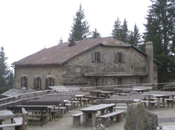 Tour Zu Fuß Partschins - Franz-Huber-Steig - Photo