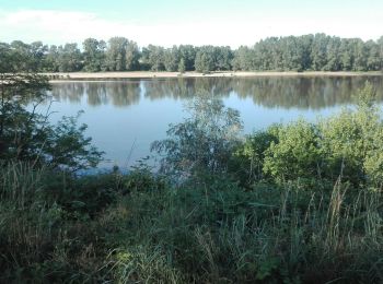 Randonnée V.T.C. Châteauneuf-sur-Loire - Belle boucle - Photo