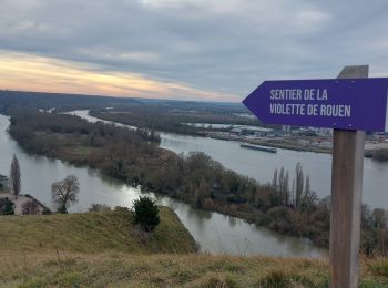 Randonnée Marche Belbeuf - 20231227 Belbeuf St Adrien - Photo