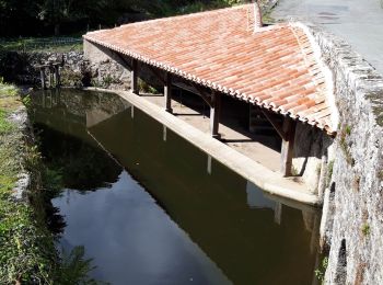 Percorso Marcia Treize-Vents - rando les treize cents 18km - Photo