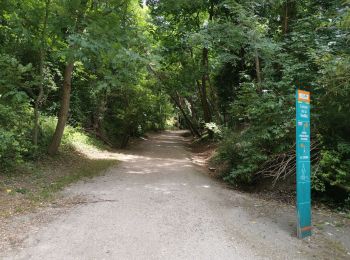 Tour Wandern Saint-Maur-des-Fossés - GR15-02 Saint-Maur-des-Fossés à Gagny - Photo