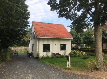 Percorso A piedi Hoeksche Waard - Groot Koninkrijkroute - Photo