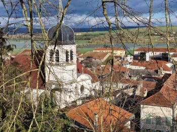 Tour Wandern Vaucouleurs - 2023-04-05_22h40m59_20230119_VAUCOULEURS_rando_LL_Vaucouleurs_Chalaines_Burey-en-Vaux(1) - Photo