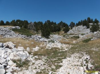 Randonnée Marche Romeyer - Romeyer - Col des Bachassons - Le Pison - Le Château - Photo