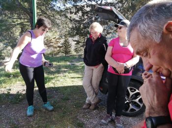 Excursión Senderismo Castelnou - castel nous  - Photo