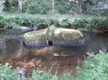 Trail Walking Saint-Julien - clos du gouet - Photo