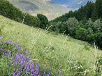 Tour Wandern Vallouise-Pelvoux - Puy aillaud  - Photo