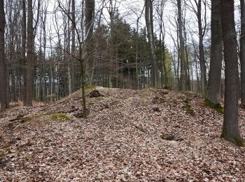 Tocht Te voet Kelkheim - Rund um den Rettershof: Weg 2 - Photo