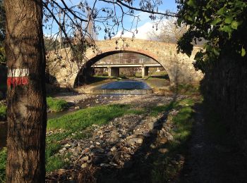 Tour Zu Fuß Castelnuovo Magra - Coll. VF - Olmarello - Sarticola – Monticello – C. Bertella - Photo