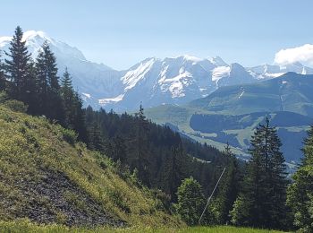 Randonnée Marche Megève - croisse baulet 1090m 17kms  - Photo