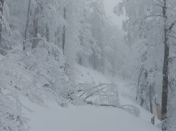 Randonnée Raquettes à neige Bouvante - Tour de Montué - Photo